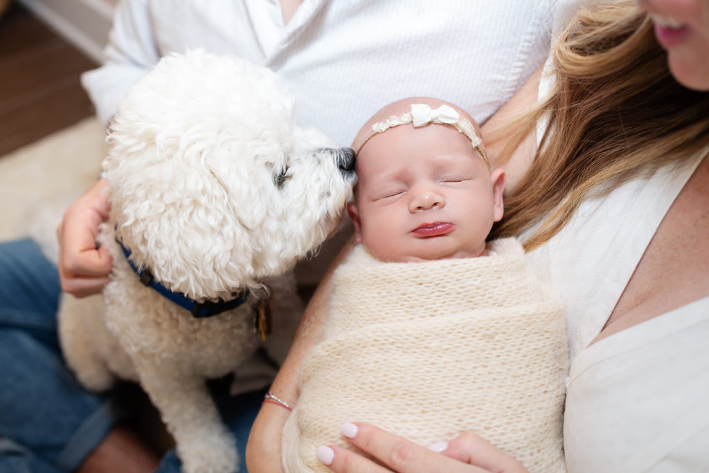 Small white dog kissing newborn baby girl's head for lifestyle session in Atlantic Beach, FL.